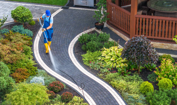 Best House Pressure Washing  in Steelville, MO