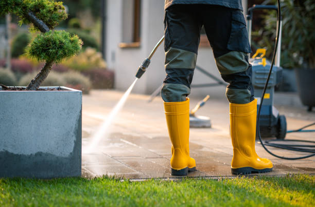 Best Deck Cleaning Services  in Steelville, MO